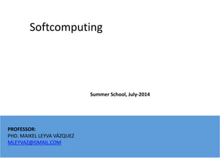 Softcomputing
PROFESSOR:
PHD. MAIKEL LEYVA VÁZQUEZ
MLEYVAZ@GMAIL.COM
Summer School, July-2014
 