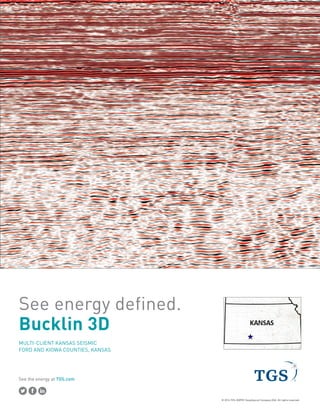 See the energy at TGS.com
Spec sheet
Click to place
your Image
BUCKLIN 3D
MULTI-CLIENT 3D SURVEY 262.3 mi2
Ford and Kiowa Counties, Kansas
 