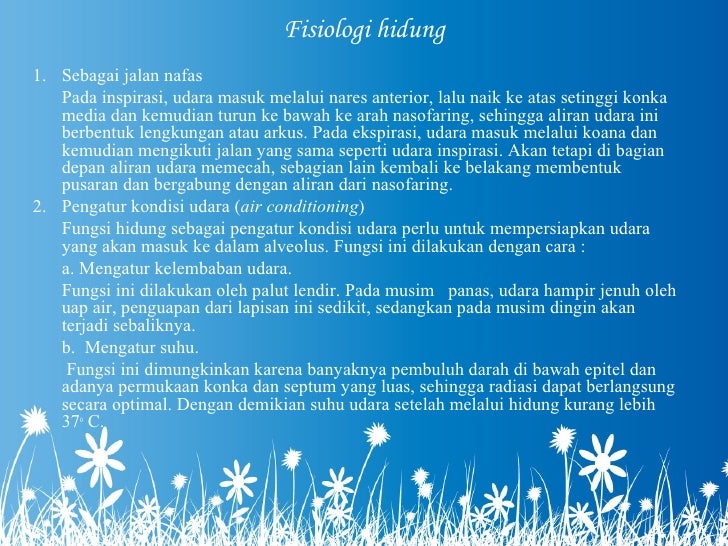 Mengenal indra pembau