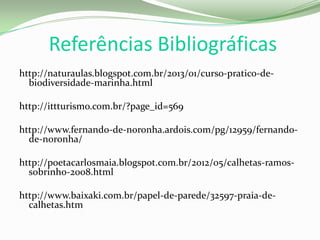 Referências Bibliográficas
http://naturaulas.blogspot.com.br/2013/01/curso-pratico-de-
biodiversidade-marinha.html
http://ittturismo.com.br/?page_id=569
http://www.fernando-de-noronha.ardois.com/pg/12959/fernando-
de-noronha/
http://poetacarlosmaia.blogspot.com.br/2012/05/calhetas-ramos-
sobrinho-2008.html
http://www.baixaki.com.br/papel-de-parede/32597-praia-de-
calhetas.htm
 
