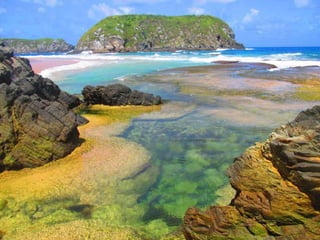 Ecoturismo:
Locais em Pernambuco
 Fernando de Noronha
 