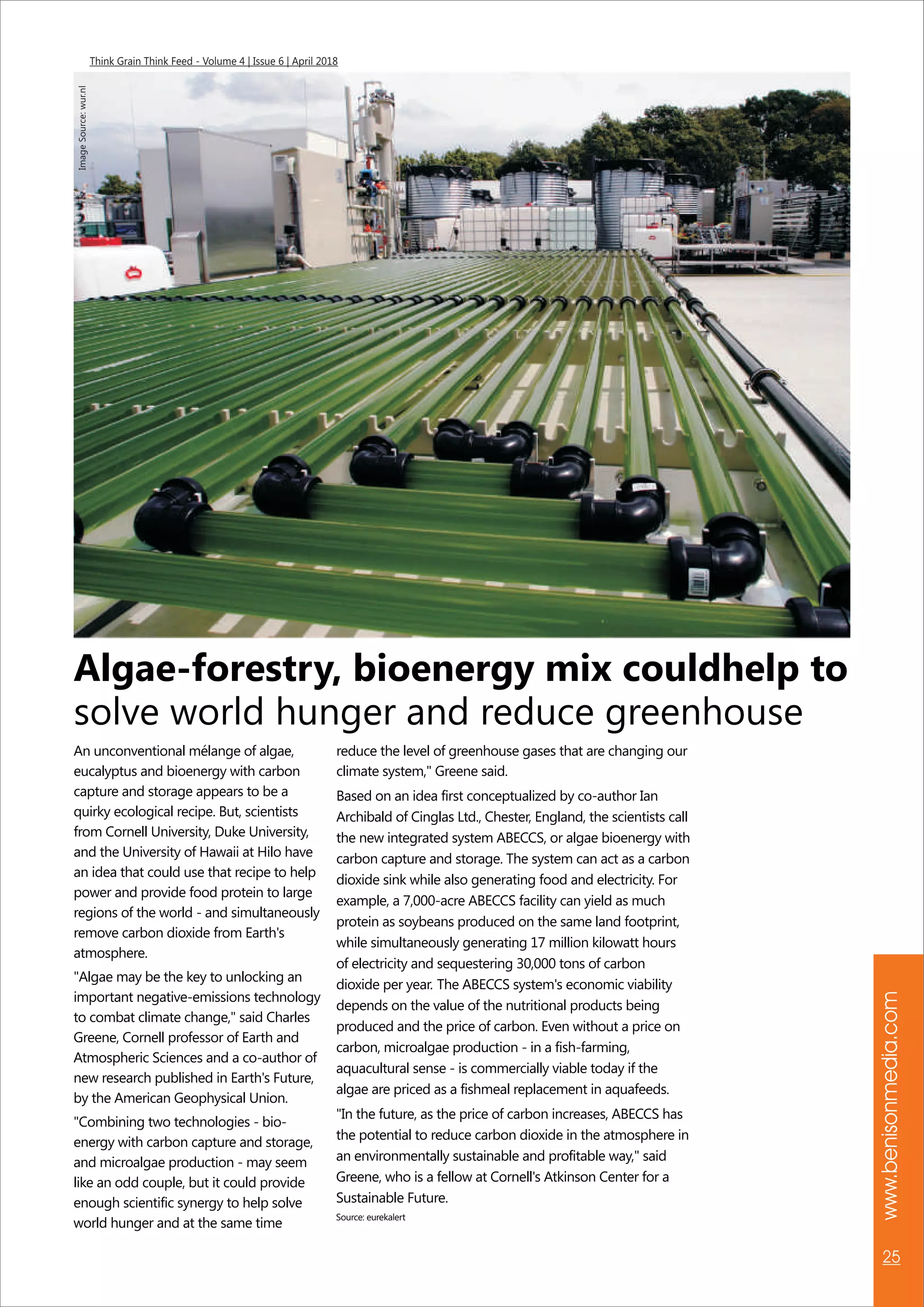 www.benisonmedia.com
25
Think Grain Think Feed - Volume 4 | Issue 6 | April 2018
An unconventional mélange of algae,
eucalyptus and bioenergy with carbon
capture and storage appears to be a
quirky ecological recipe. But, scientists
from Cornell University, Duke University,
and the University of Hawaii at Hilo have
an idea that could use that recipe to help
power and provide food protein to large
regions of the world - and simultaneously
remove carbon dioxide from Earth's
atmosphere.
"Algae may be the key to unlocking an
important negative-emissions technology
to combat climate change," said Charles
Greene, Cornell professor of Earth and
Atmospheric Sciences and a co-author of
new research published in Earth's Future,
by the American Geophysical Union.
"Combining two technologies - bio-
energy with carbon capture and storage,
and microalgae production - may seem
like an odd couple, but it could provide
enough scientific synergy to help solve
world hunger and at the same time
Algae-forestry, bioenergy mix couldhelp to
solve world hunger and reduce greenhouse
reduce the level of greenhouse gases that are changing our
climate system," Greene said.
Based on an idea first conceptualized by co-author Ian
Archibald of Cinglas Ltd., Chester, England, the scientists call
the new integrated system ABECCS, or algae bioenergy with
carbon capture and storage. The system can act as a carbon
dioxide sink while also generating food and electricity. For
example, a 7,000-acre ABECCS facility can yield as much
protein as soybeans produced on the same land footprint,
while simultaneously generating 17 million kilowatt hours
of electricity and sequestering 30,000 tons of carbon
dioxide per year. The ABECCS system's economic viability
depends on the value of the nutritional products being
produced and the price of carbon. Even without a price on
carbon, microalgae production - in a fish-farming,
aquacultural sense - is commercially viable today if the
algae are priced as a fishmeal replacement in aquafeeds.
"In the future, as the price of carbon increases, ABECCS has
the potential to reduce carbon dioxide in the atmosphere in
an environmentally sustainable and profitable way," said
Greene, who is a fellow at Cornell's Atkinson Center for a
Sustainable Future.
Source: eurekalert
ImageSource:wur.nl
 