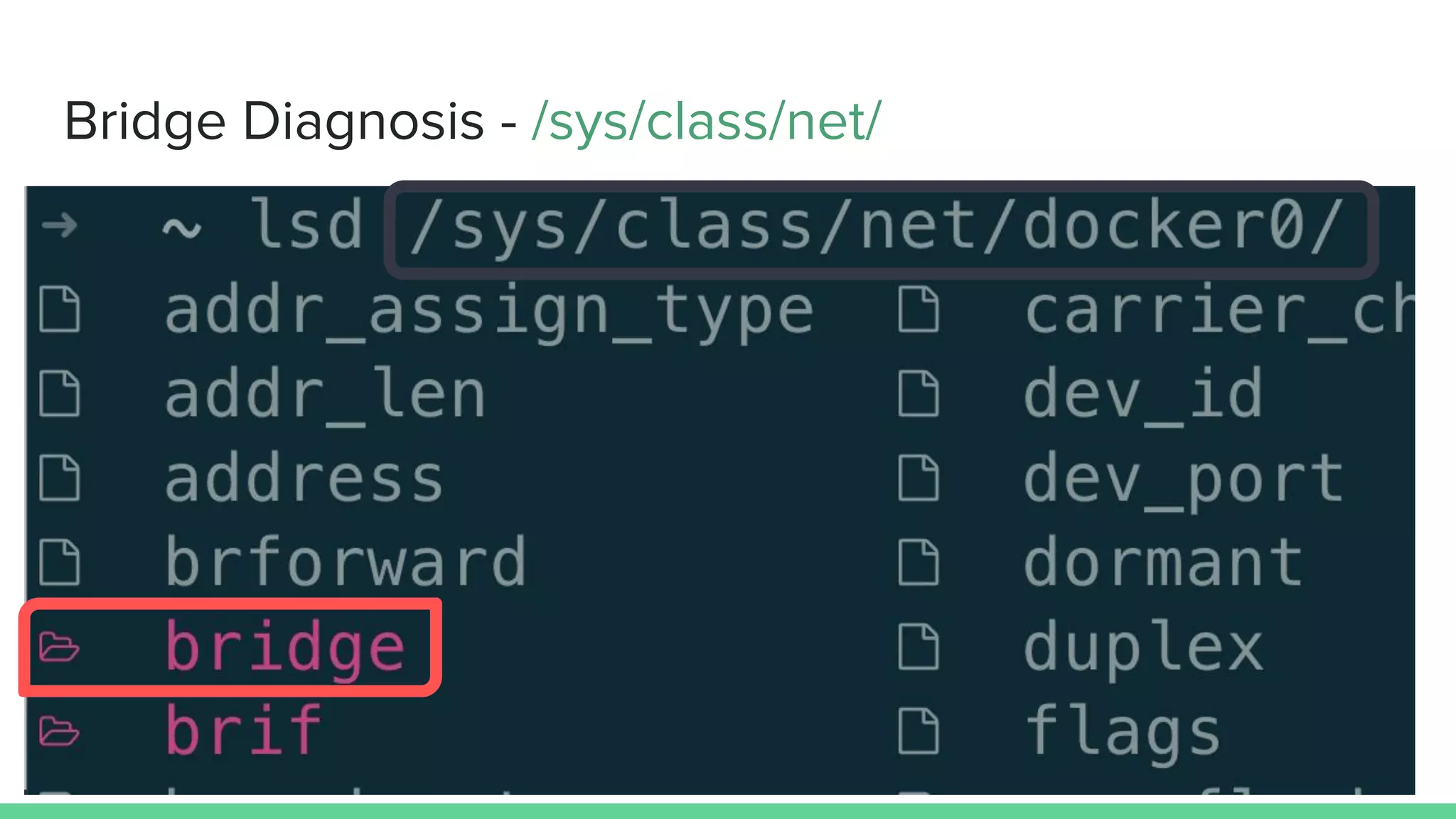 Bridge Diagnosis - /sys/class/net/
 