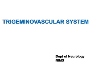 TRIGEMINOVASCULAR SYSTEM 
Dept of Neurology 
NIMS 
 