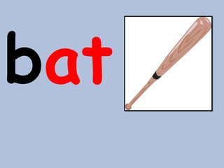 bat