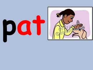 pat