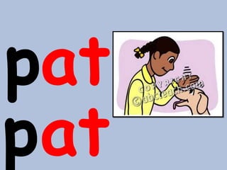 pat
pat