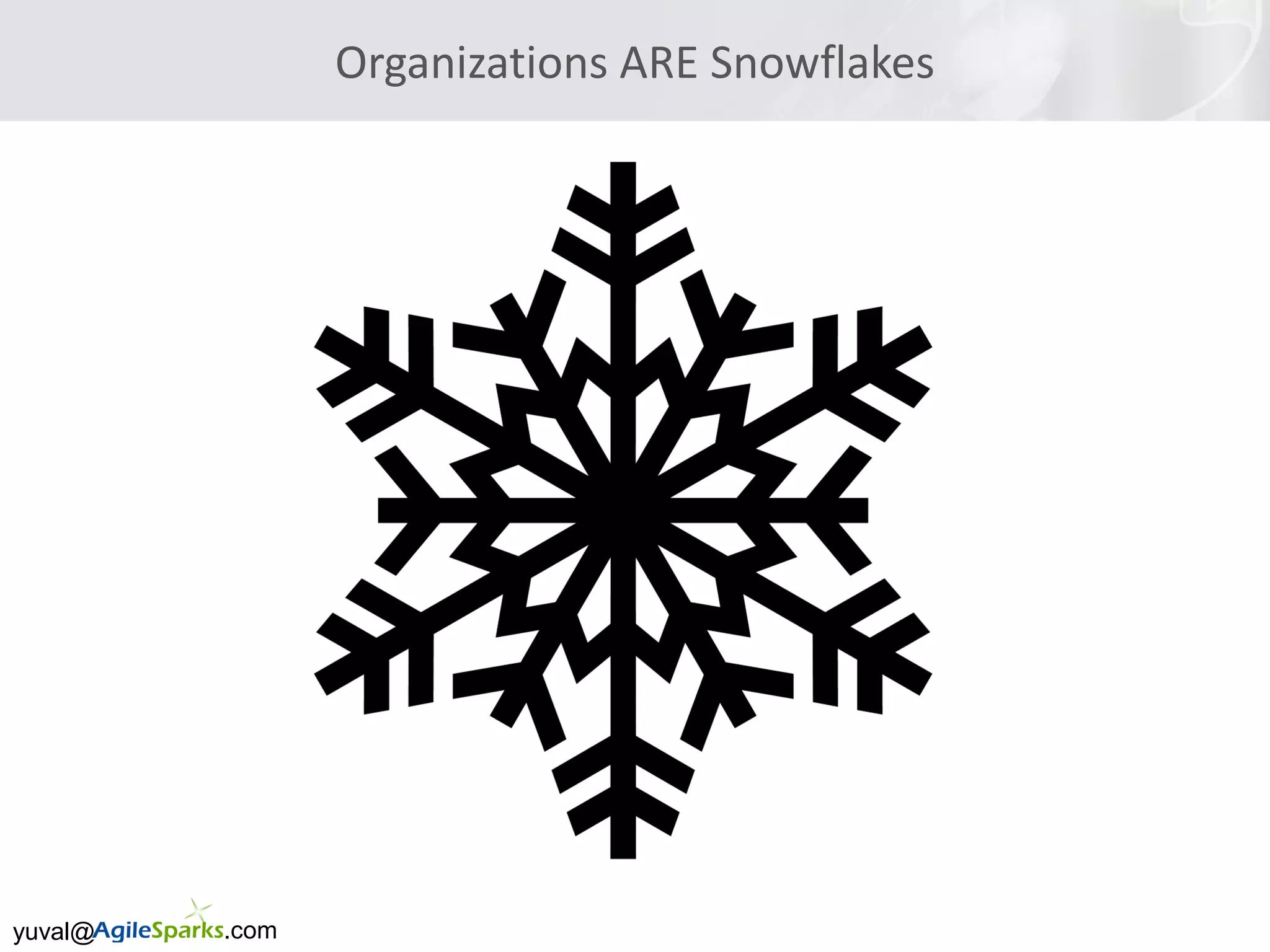 yuval@ .com
Organizations ARE Snowflakes
 
