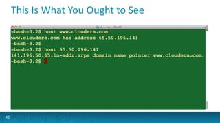 This Is What You Ought to See
42
 