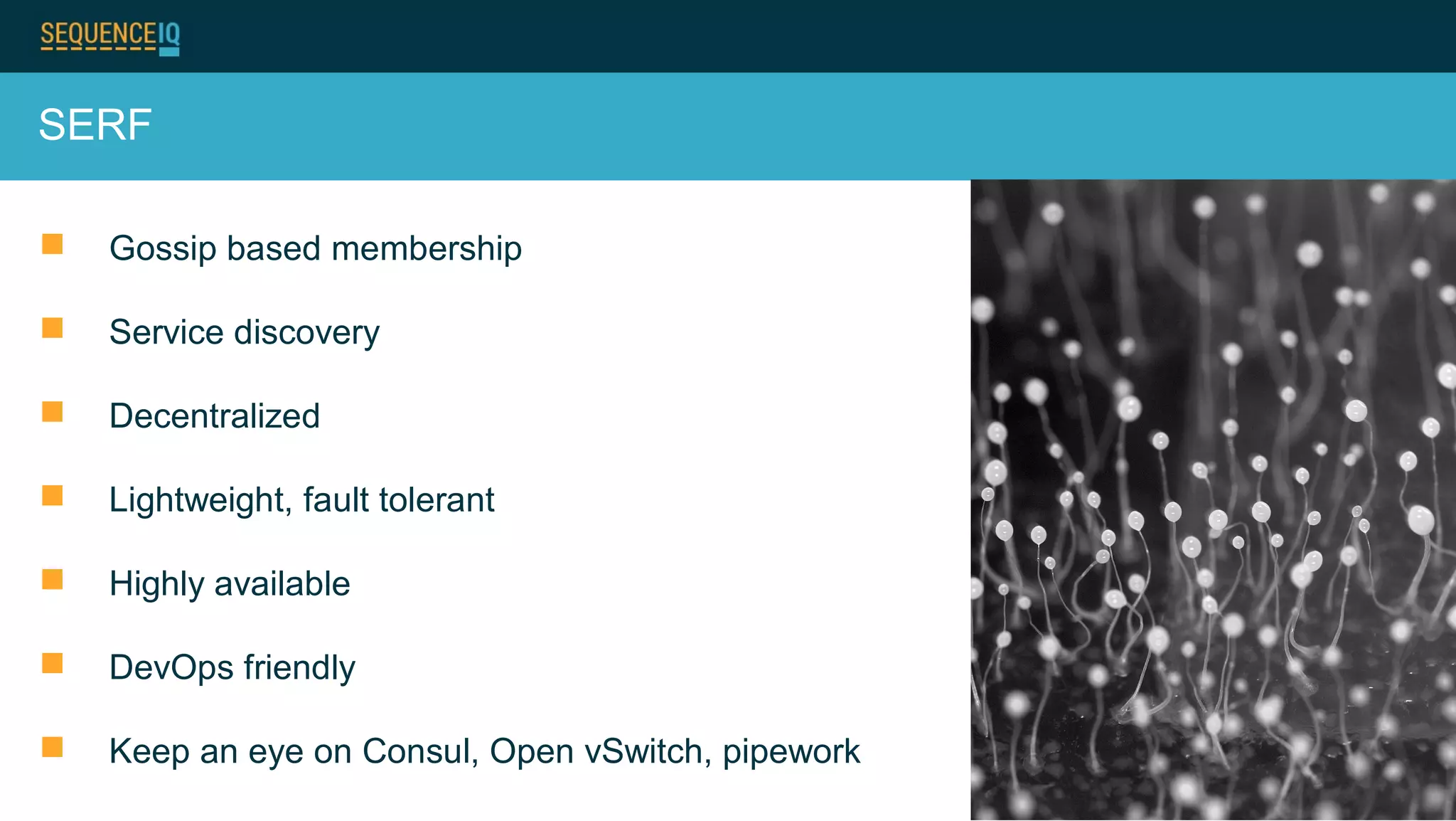 SERF
 Gossip based membership
 Service discovery
 Decentralized
 Lightweight, fault tolerant
 Highly available
 DevOps friendly
 Keep an eye on Consul, Open vSwitch, pipework
 