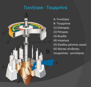 Γεννήτρια - Τουρμπίνα
Α: Γεννήτρια
Β: Τουρμπίνα
(1) Στάτορας
(2) Ρότορας
(3) θυρίδα
(4) πτερύγια
(5) Είσοδος ρέοντος νερού
(6) Άξονας σύνδεσης
τουρμπίνας - γεννήτριας
 