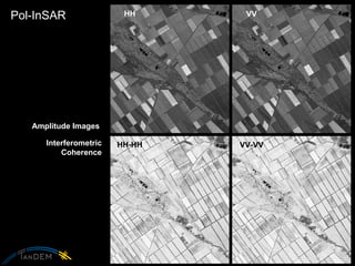 Pol-InSAR HH-HH VV-VV HH VV Interferometric Coherence Amplitude Images  
