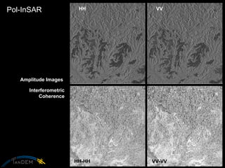 Pol-InSAR HH-HH VV-VV HH VV Interferometric Coherence Amplitude Images  