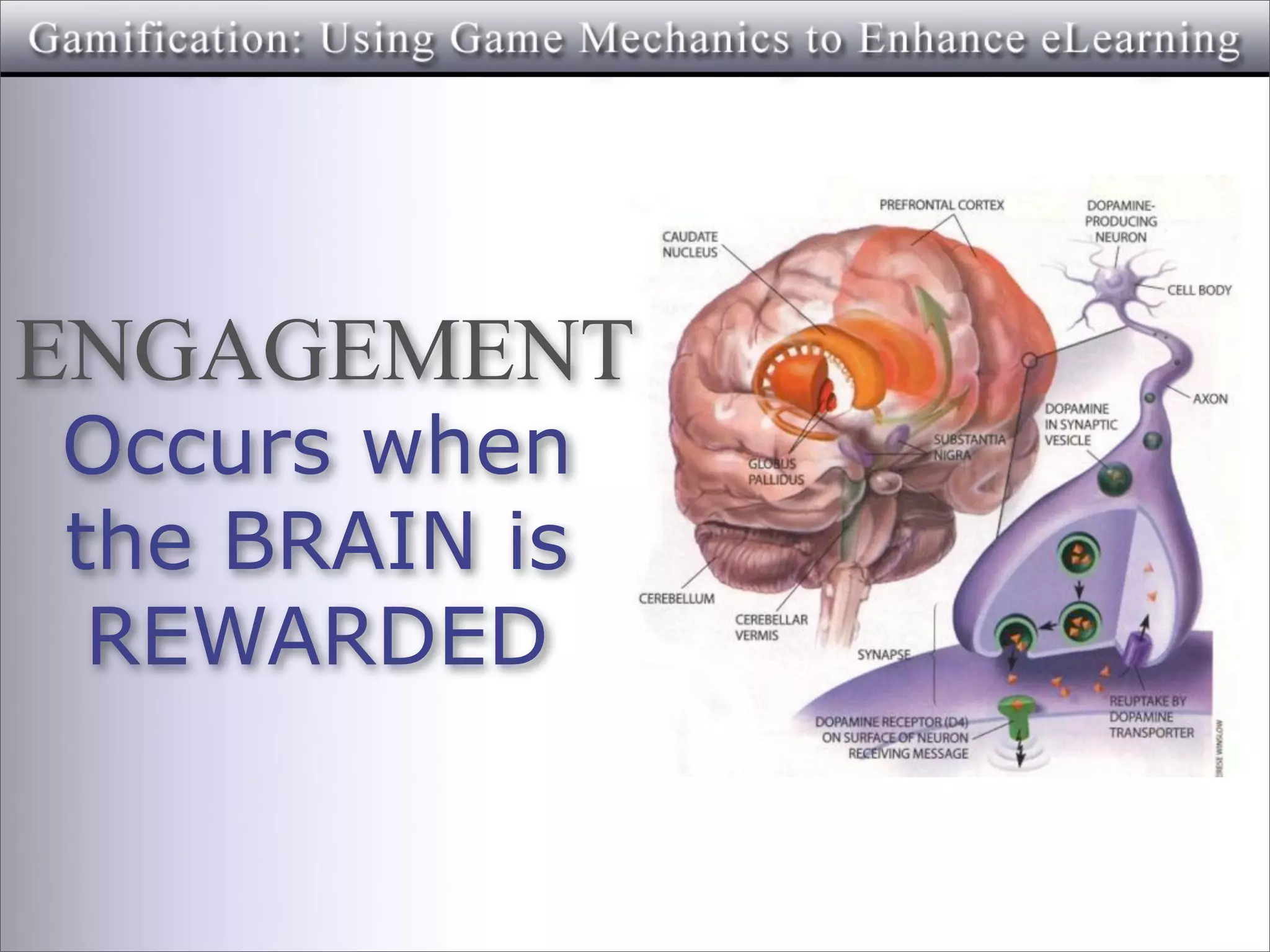 ENGAGEMENT
Occurs when
the BRAIN is
 REWARDED
 