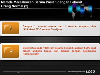 Metode Mereaksikan Serum Pasien dengan Lekosit Orang Normal (2)Campur 1 volume serum dan 1 volume suspensi dan diinkubasi 37°C selama 3 – 4 jam3Disentrifus pada 1000 rpm selama 5 menit, lapisan buffy coat dibuat sediaan hapus dan dipulas dengan pewarnaan Romanowsky 4www.themegallery.com11