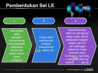 Pembentukan Sel LE123Depolimerisasi DNA inti sel lekosit yang rusak, diikuti pelepasan bagian-bagian dari inti sel, sehingga terbentuk masa globular yang homogen, kemudiandifagositoleh selnetrofil        sel LETubuh akan membentuk antibodi (otoantibodi)  faktorLE Kerusakan pada jaringan penyambung menyebabkan pelepasan protein ke dalam aliran darah(antigen)www.themegallery.com5