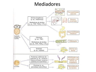 Mediadores
 