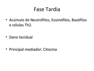 Fase Tardia
• Acúmulo de Neutrófilos, Eosinófilos, Basófilos
e células Th2.
• Dano tecidual
• Principal mediador: Citocina
 