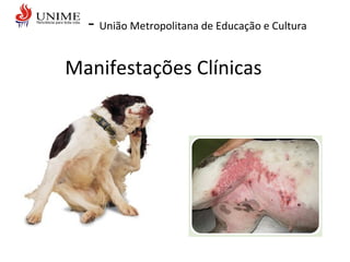 - União Metropolitana de Educação e Cultura
Manifestações Clínicas
 