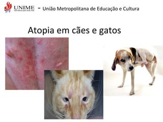 - União Metropolitana de Educação e Cultura
Atopia em cães e gatos
 