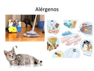 Alérgenos
 