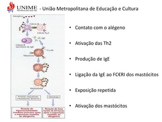 • Contato com o alégeno
• Ativação das Th2
• Produção de IgE
• Ligação da IgE ao FC€RI dos mastócitos
• Exposição repetida
• Ativação dos mastócitos
- União Metropolitana de Educação e Cultura
 