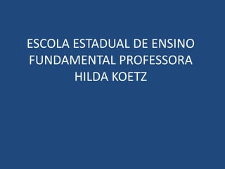 ESCOLA ESTADUAL DE ENSINO
FUNDAMENTAL PROFESSORA
HILDA KOETZ
 