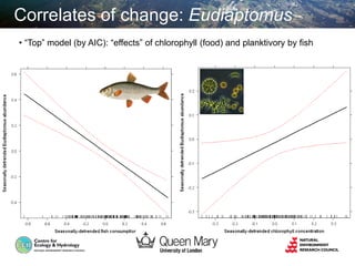 Correlates of change: Eudiaptomus
• “Top” model (by AIC): “effects” of chlorophyll (food) and planktivory by fish
 