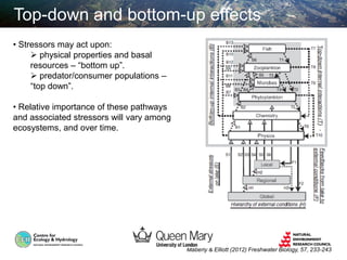 Top-down and bottom-up effects
Maberly & Elliott (2012) Freshwater Biology, 57, 233-243
• Stressors may act upon:
 physical properties and basal
resources – “bottom up”.
 predator/consumer populations –
“top down”.
• Relative importance of these pathways
and associated stressors will vary among
ecosystems, and over time.
 