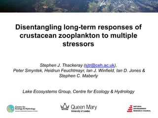 Disentangling long-term responses of
crustacean zooplankton to multiple
stressors
Stephen J. Thackeray (sjtr@ceh.ac.uk),
Peter Smyntek, Heidrun Feuchtmayr, Ian J. Winfield, Ian D. Jones &
Stephen C. Maberly
Lake Ecosystems Group, Centre for Ecology & Hydrology
 