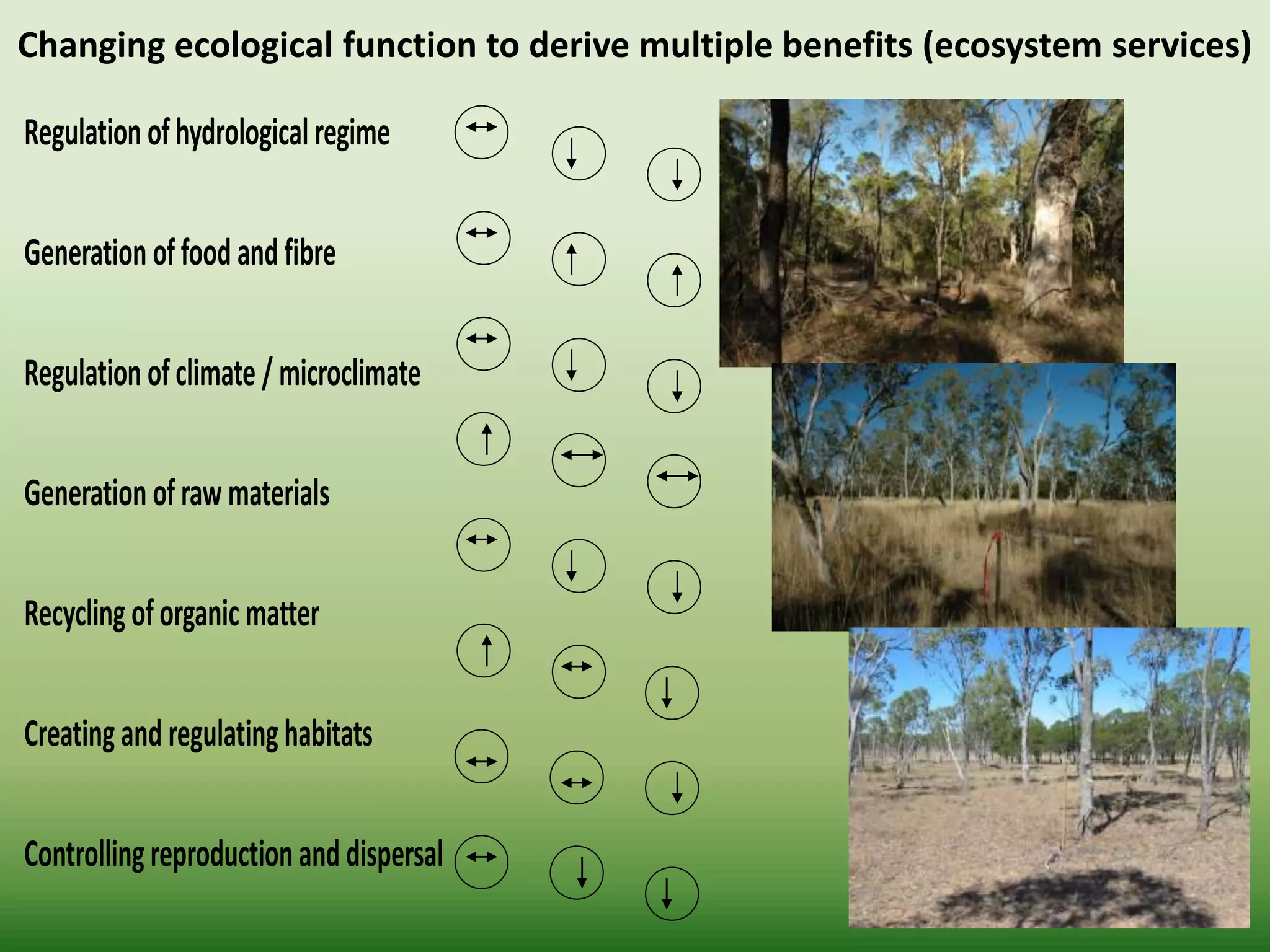 Regulation ofhydrologicalregime
Generation offood and fibre
Regulation ofclimate / microclimate
Generation ofraw materials
Recyclingoforganic matter
Creating and regulatinghabitats
Controllingreproductionand dispersal
Changing ecological function to derive multiple benefits (ecosystem services)
 