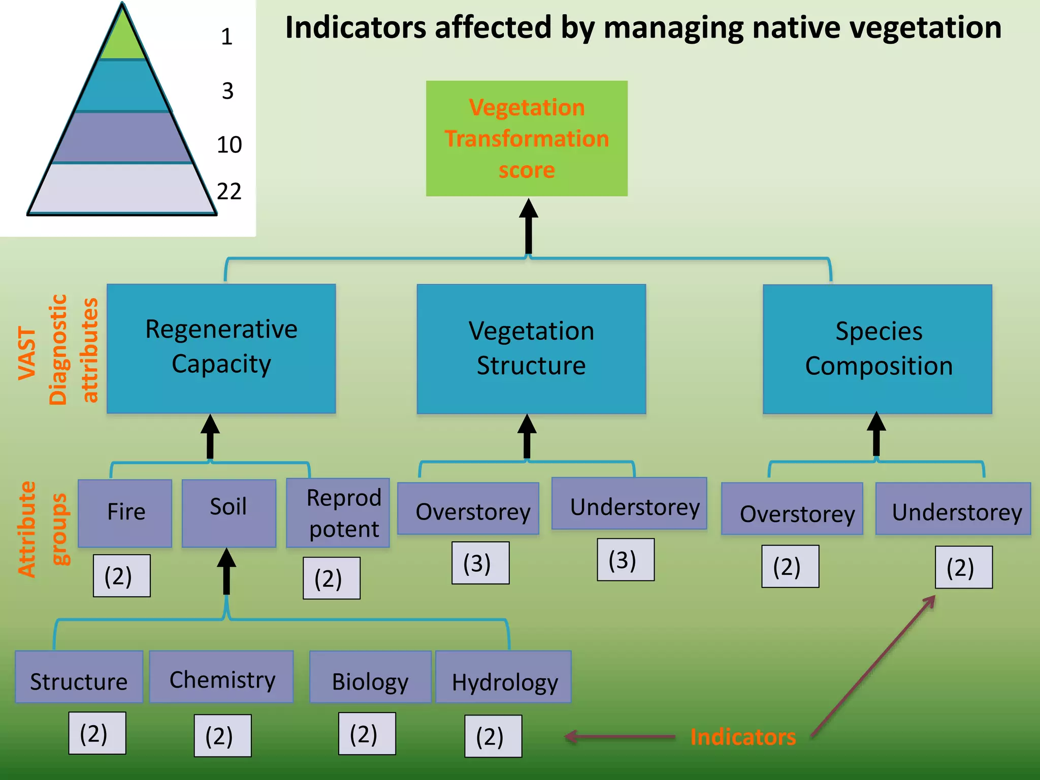 1
3
10
22
VAST
Diagnostic
attributes
Vegetation
Transformation
score
Attribute
groups
Vegetation
Structure
Overstorey
(3)
Understorey
(3)
Species
Composition
(2)
UnderstoreyOverstorey
(2)
Regenerative
Capacity
Fire
(2)
Reprod
potent
(2)
Soil
Hydrology
(2)
Biology
(2)
Chemistry
(2)
Structure
(2) Indicators
Indicators affected by managing native vegetation
 