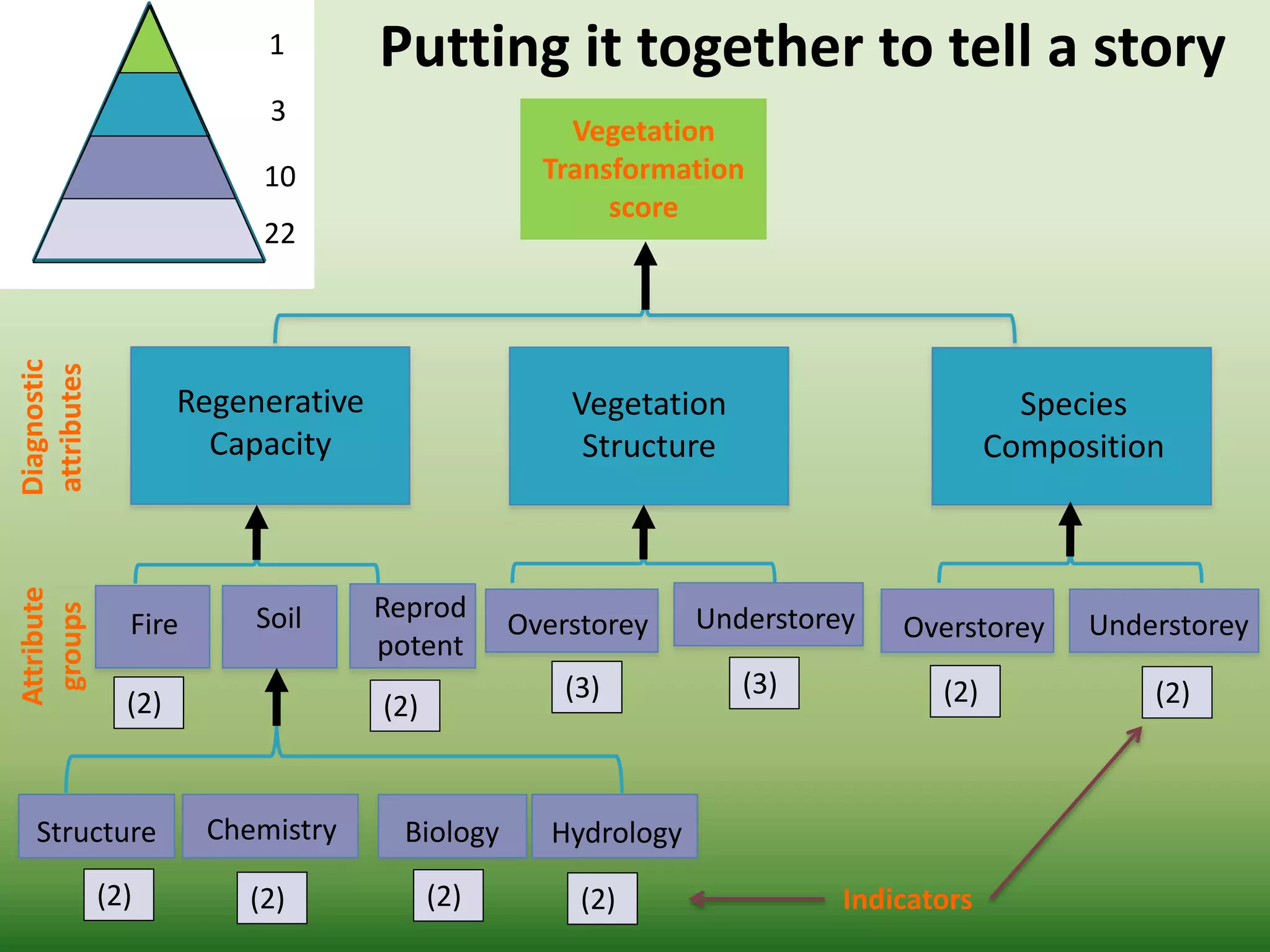 1
3
10
22
Diagnostic
attributes
Vegetation
Transformation
score
Attribute
groups
Vegetation
Structure
Overstorey
(3)
Understorey
(3)
Species
Composition
(2)
UnderstoreyOverstorey
(2)
Regenerative
Capacity
Fire
(2)
Reprod
potent
(2)
Soil
Hydrology
(2)
Biology
(2)
Chemistry
(2)
Structure
(2) Indicators
Putting it together to tell a story
 
