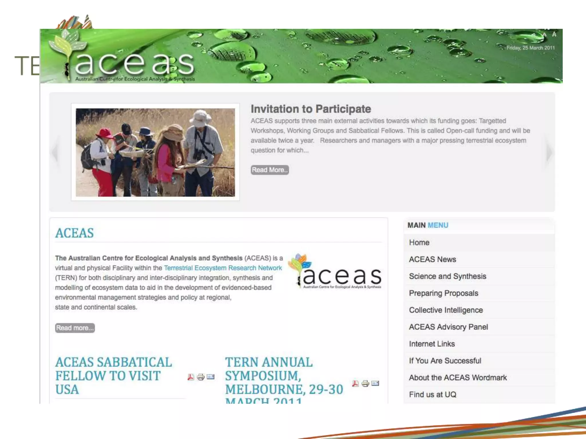 developing policy & design programs