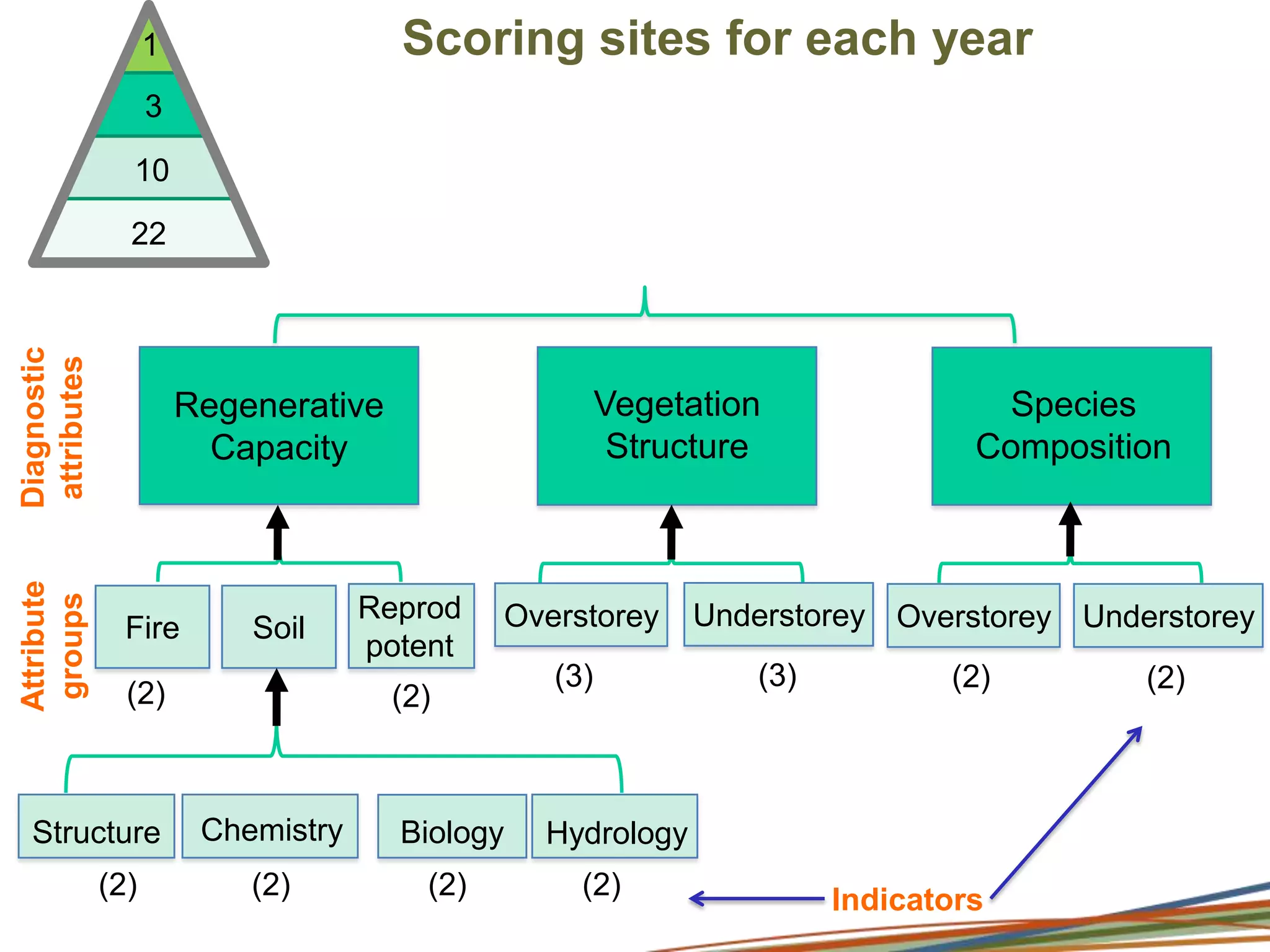 Result in changes in vegetation structure, composition & functionSolutions to date – snap shotsSite-based assessments
