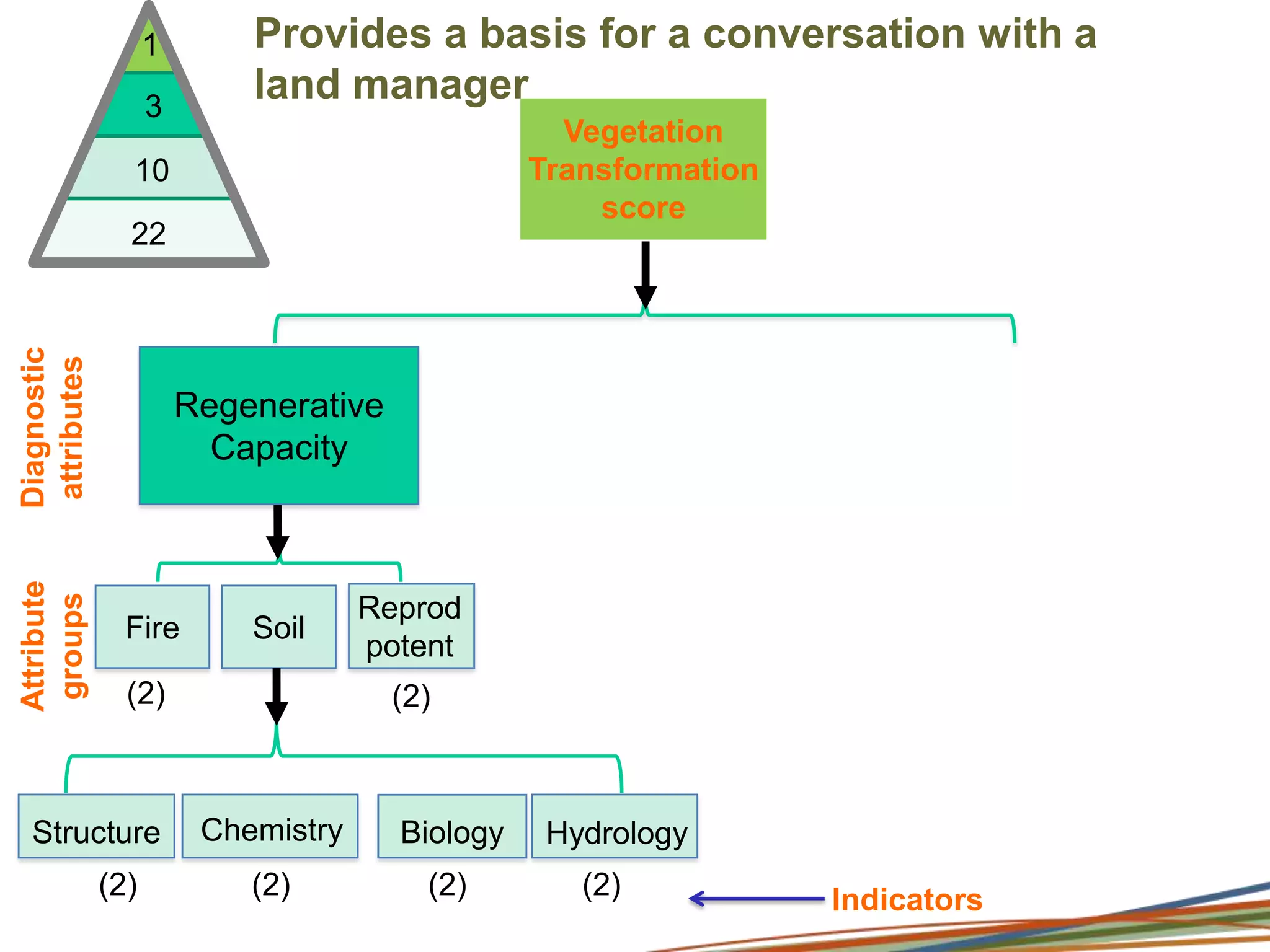 Data synthesis and hierarchySiteDiagnostic attributes310Attribute groups22Indicators