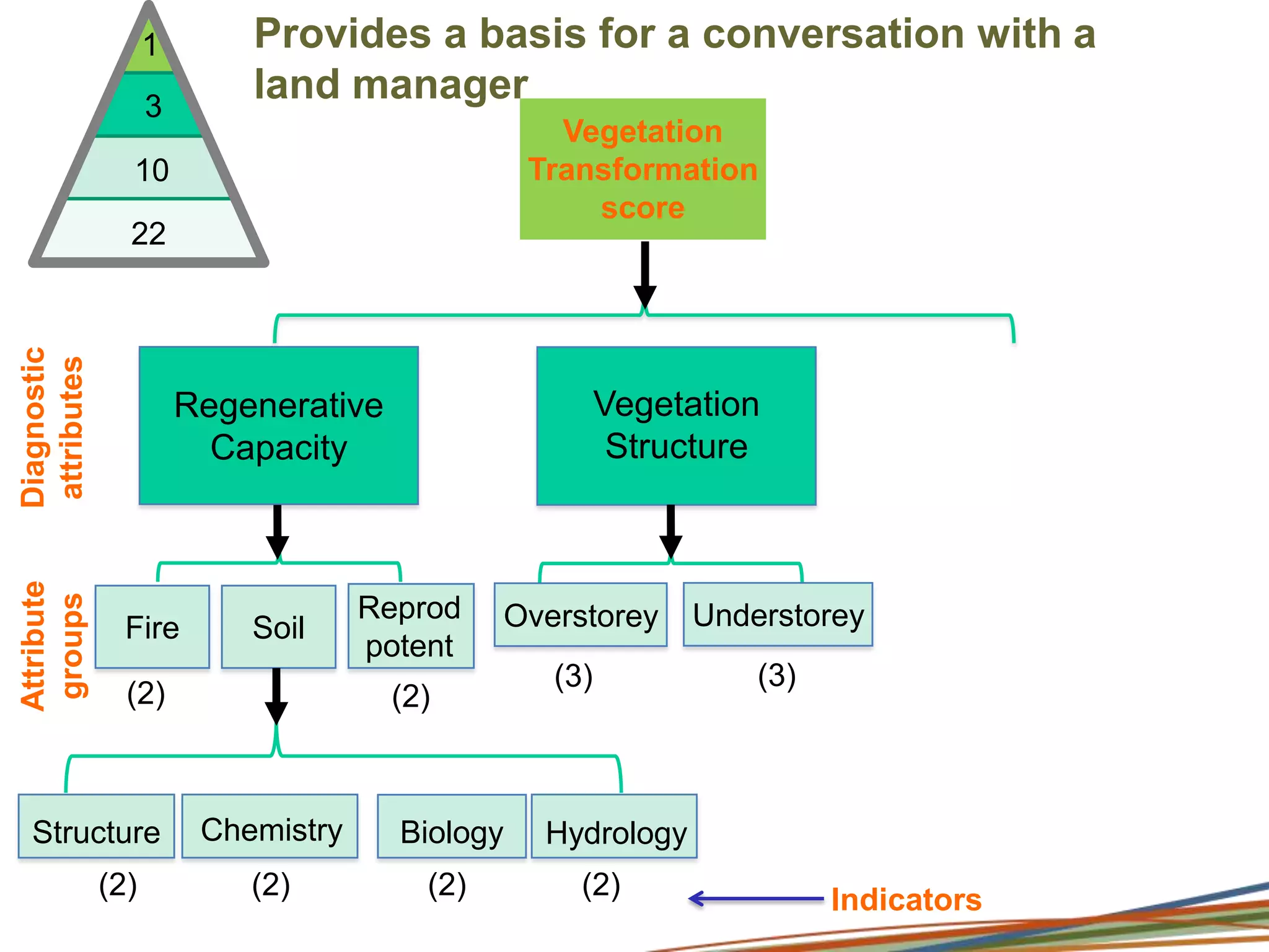 Data synthesis and hierarchySiteTransformation score/site /year1Diagnostic attributes310Attribute groups22Indicators