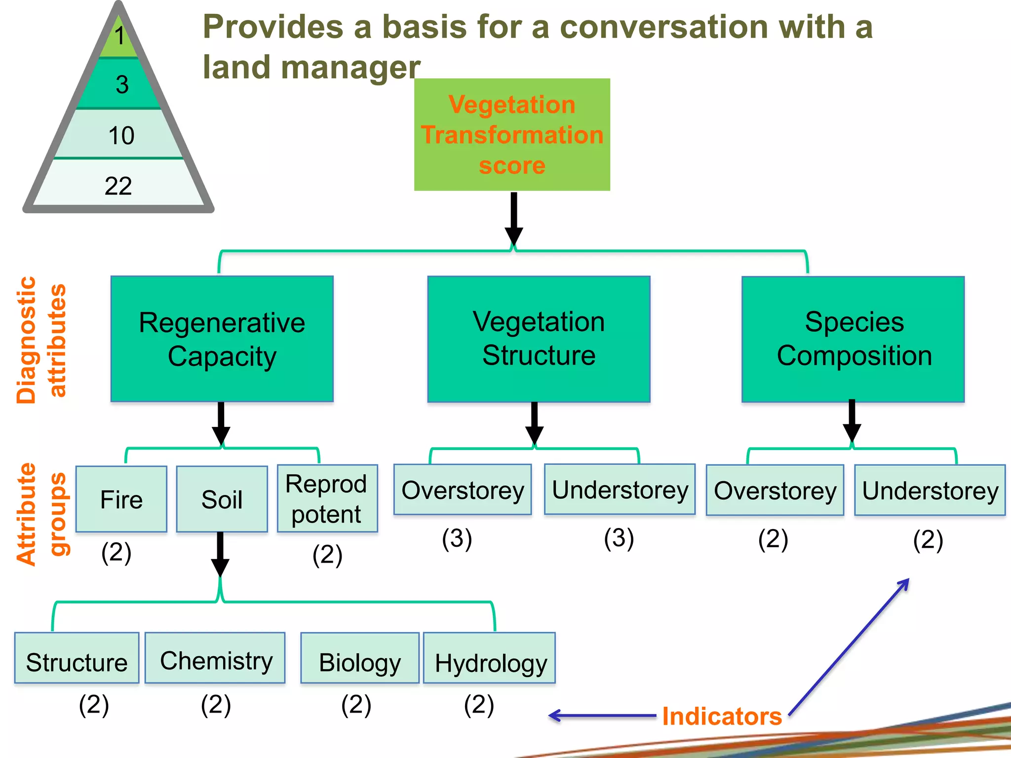 Scoring sites for each year131022DiagnosticattributesSpeciesCompositionAttributegroupsUnderstoreyOverstorey(2)(2)Indicators
