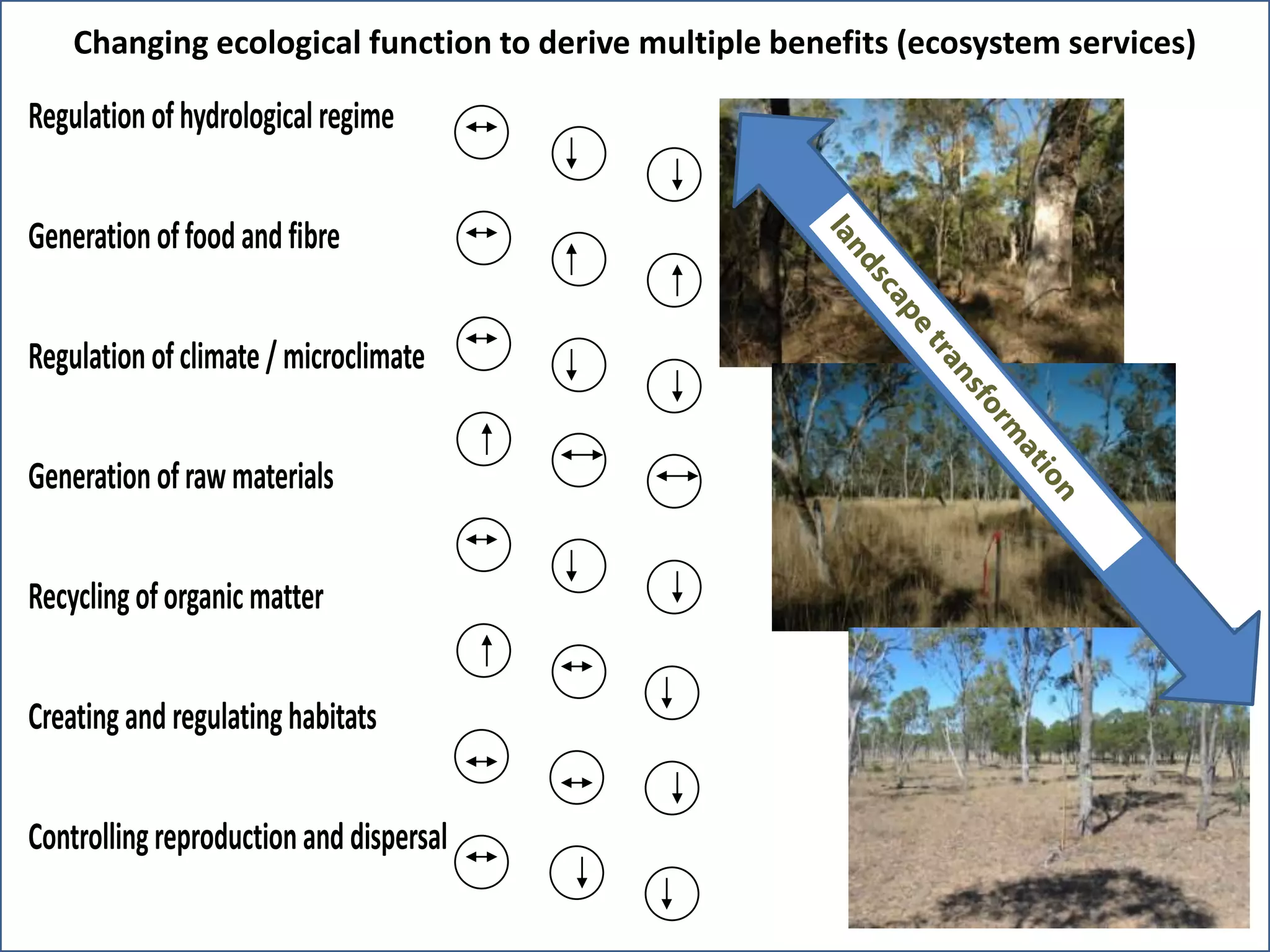 Regulation ofhydrologicalregime
Generation offood and fibre
Regulation ofclimate / microclimate
Generation ofraw materials
Recyclingoforganic matter
Creating and regulatinghabitats
Controllingreproductionand dispersal
Changing ecological function to derive multiple benefits (ecosystem services)
 