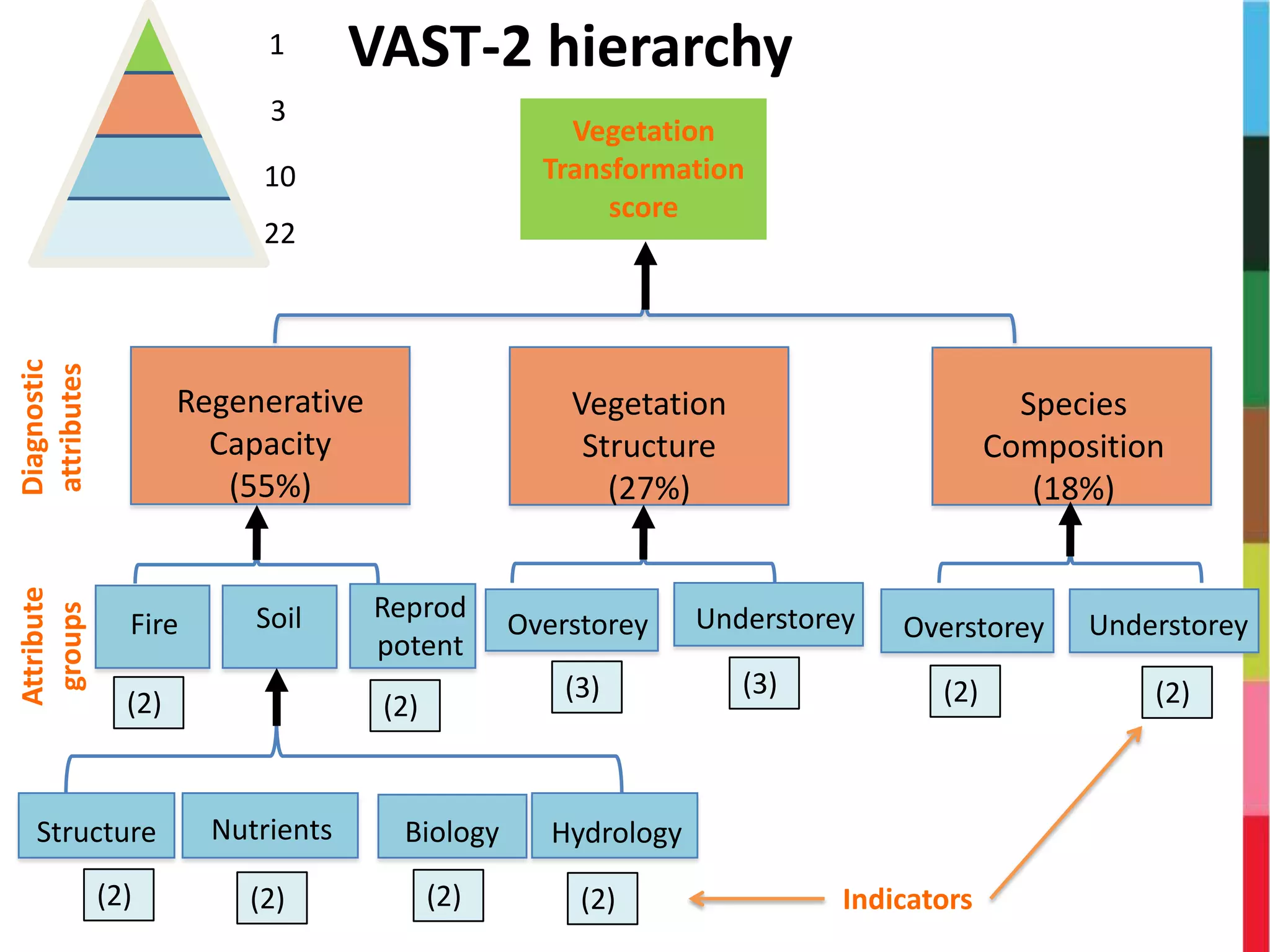 1
3
10
22
Diagnostic
attributes
Vegetation
Transformation
score
Attribute
groups
Vegetation
Structure
(27%)
Overstorey
(3)
Understorey
(3)
Species
Composition
(18%)
(2)
UnderstoreyOverstorey
(2)
Regenerative
Capacity
(55%)
Fire
(2)
Reprod
potent
(2)
Soil
Hydrology
(2)
Biology
(2)
Nutrients
(2)
Structure
(2) Indicators
VAST-2 hierarchy
 