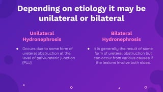 Unilateral
Hydronephrosis
● Occurs due to some form of
ureteral obstruction at the
level of pelviureteric junction
(PUJ)
Depending on etiology it may be
unilateral or bilateral
Bilateral
Hydronephrosis
● It is generally the result of some
form of ureteral obstruction but
can occur from various causes if
the lesions involve both sides.
 