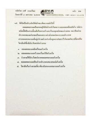 Thai