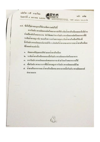Thai