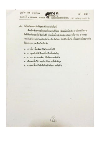 Thai