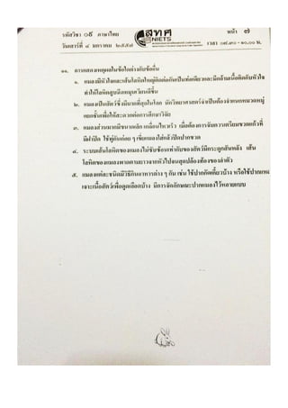 Thai