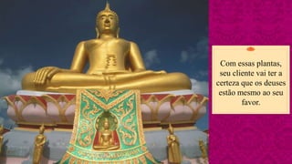 Com essas plantas,
seu cliente vai ter a
certeza que os deuses
estão mesmo ao seu
favor.
 