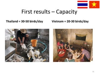 The study of hygienic practices of small scale poultry slaughter house in Asian partnership countries