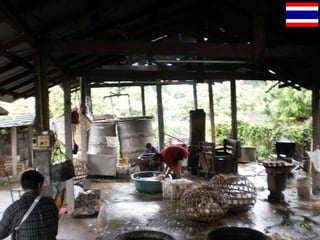 The study of hygienic practices of small scale poultry slaughter house in Asian partnership countries