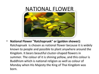 NATIONAL FLOWER




• National Flower "Ratchapruek" or (golden shower):
  Ratchapruek is chosen as national flower because it is widely
  known to people and possible to plant anywhere around the
  Kingdom. It bears beautiful cluster-shaped flowers in
  summer. The colour of it is shining yellow, and this colour is
  Buddhism which is national religion as well as colour of
  Monday when His Majesty the King of Thai Kingdom was
  born.
 