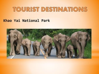 Khao Yai National Park
 